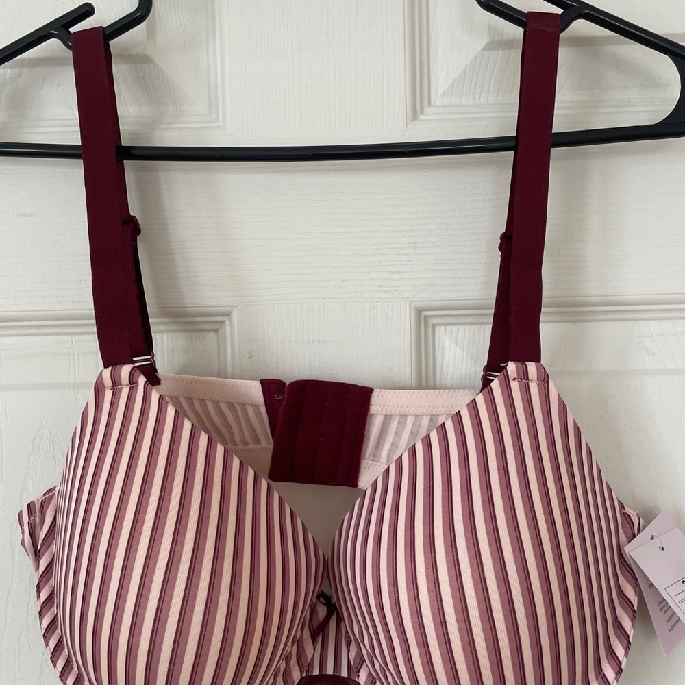 NWT Striped Burgundy and Pink Bra